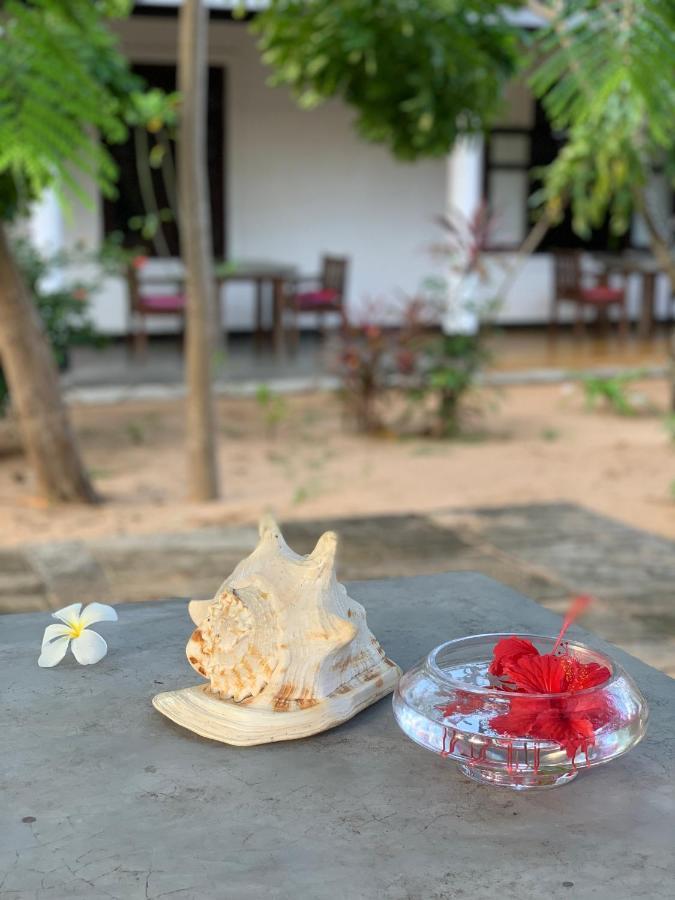 The Danish 3* Arugam Bay